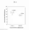 Fig. 09 - Liquid crystal display and method of manufacturing the same