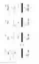 Fig. 06 - Aggregate particles for use in electrophoretic color displays