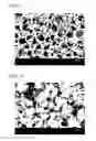 Fig. 03 - Filtration filter, filtration method, production method of purified liquid chemical product for lithography, and method of forming resist pattern