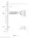 Fig. 07 - Curable liquid developer having a cationically polymerizable liquid monomer with a monofunctional vinyl ether compound