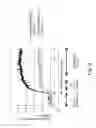 Fig. 10 - Rotatable feeding member and rotatable fixing member