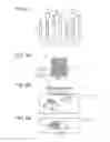 Fig. 04 - Belt device and image forming apparatus including same