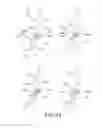 Fig. 24 - Electrophotographic image forming apparatus, developing apparatus, and coupling member