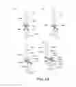 Fig. 26 - Electrophotographic image forming apparatus, developing apparatus, and coupling member