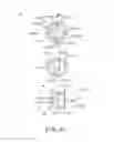 Fig. 50 - Electrophotographic image forming apparatus, developing apparatus, and coupling member