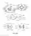 Fig. 59 - Electrophotographic image forming apparatus, developing apparatus, and coupling member