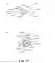 Fig. 75 - Electrophotographic image forming apparatus, developing apparatus, and coupling member
