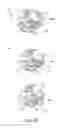 Fig. 17 - Process cartridge, electrophotographic image forming apparatus, and electrophotographic photosensitive drum unit