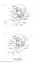 Fig. 22 - Process cartridge, electrophotographic image forming apparatus, and electrophotographic photosensitive drum unit