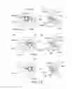 Fig. 74 - Process cartridge, electrophotographic image forming apparatus, and electrophotographic photosensitive drum unit