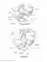 Fig. 40 - Process cartridge, electrophotographic image forming apparatus, and electrophotographic photosensitive drum unit