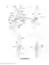 Fig. 23 - Electrophotographic image forming apparatus, developing apparatus, and coupling member