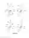 Fig. 24 - Electrophotographic image forming apparatus, developing apparatus, and coupling member