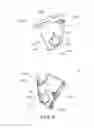 Fig. 08 - Electrophotographic image forming apparatus, developing apparatus, and coupling member