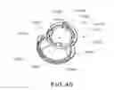 Fig. 40 - Electrophotographic image forming apparatus, developing apparatus, and coupling member