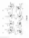 Fig. 42 - Electrophotographic image forming apparatus, developing apparatus, and coupling member