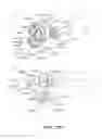 Fig. 74 - Electrophotographic image forming apparatus, developing apparatus, and coupling member
