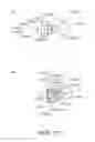 Fig. 75 - Electrophotographic image forming apparatus, developing apparatus, and coupling member