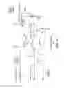 Fig. 56 - Code replacement for irrigation controllers