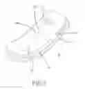 Fig. 06 - Curved body and wearable device therewith