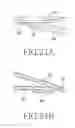 Fig. 25 - Curved body and wearable device therewith