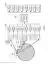 Fig. 05 - Haptic mapping