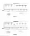 Fig. 19 - Flexible scan plan using coarse mutual capacitance and fully-guarded measurements