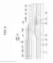 Fig. 07 - Display device having unexposed touch wires