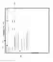 Fig. 15 - Programmable symbol animation pre-processor for building automation graphics