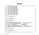Fig. 12 - Program development support system and program development support software