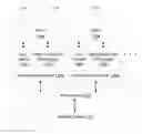 Fig. 01 - Dynamic releasing of cache lines