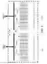 Fig. 03 - CONFIGURABLE CACHE ARCHITECTURE
