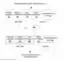 Fig. 01 - Providing memory management functionality using aggregated memory management units (MMUs)
