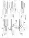 Fig. 13 - N-phase signal transition alignment