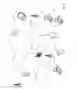 Fig. 07 - Crowd-source as a backup to asynchronous identification of a type of form and relevant fields in a credential-seeking web page