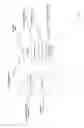 Fig. 05 - Input Processing