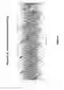 Fig. 08 - Spice circuit model for twinaxial cable