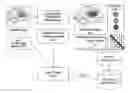 Fig. 01 - Inference Transparency System for Image-Based Clinical Decision Support Systems
