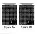 Fig. 10 - METHODOLOGIES LINKING PATTERNS FROM MULTI-MODALITY DATASETS