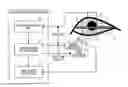 Fig. 01 - Line-of-sight detection method and device