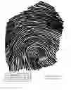 Fig. 01 - Fast, high-accuracy, large-scale fingerprint verification system