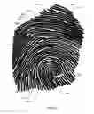 Fig. 02 - Fast, high-accuracy, large-scale fingerprint verification system