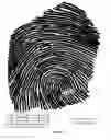 Fig. 04 - Fast, high-accuracy, large-scale fingerprint verification system