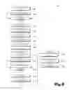 Fig. 09 - People counting method and apparatus