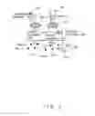 Fig. 03 - Biometric image capturing apparatus and biometric image capturing method