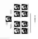 Fig. 13 - Methods and systems for differentiating synthetic and non-synthetic images