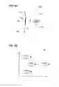 Fig. 07 - Method and computing device for optically recognizing mathematical expressions
