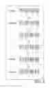 Fig. 06 - Data generating apparatus, data generating method, and non-transitory computer-readable medium containing instructions for managing deletion of tape printing data based on parent-child relationship