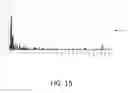 Fig. 20 - Methods and a computing device for determining whether a mark is genuine