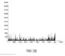 Fig. 30 - Methods and a computing device for determining whether a mark is genuine